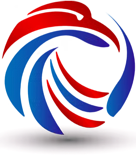 CondorNexus Logo